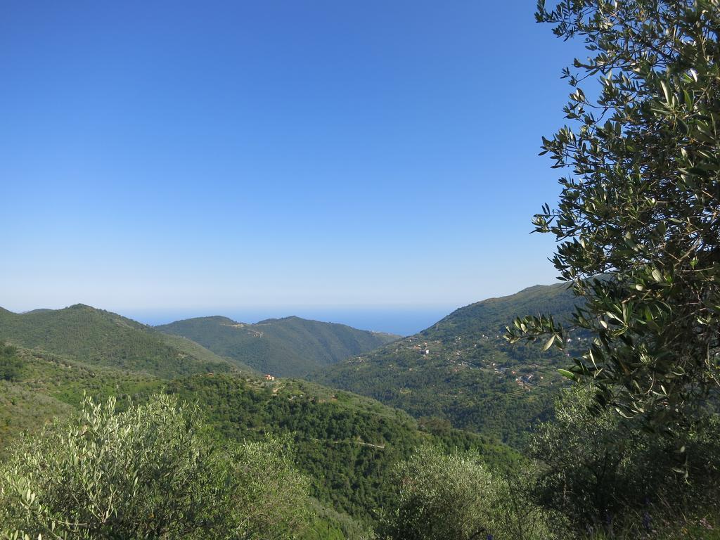 Willa Rustic Liguria Ceriana Zewnętrze zdjęcie